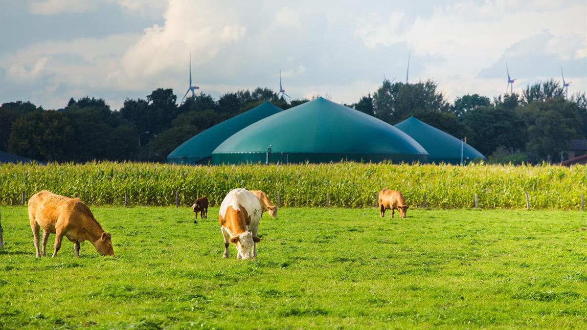Plenium Partners refuerza su apuesta por el biometano en Italia con la inversión en un nuevo proyecto
